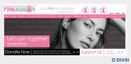 Die Website "Pink Ribbon" beschäftigt sich mit Fragestellungen rund um das Thema Brustkrebst und koordiniert Aktivitäten in der Offline-Welt