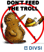Troll: Disturbing and provocative participation on the internet