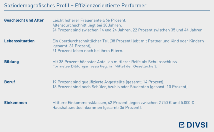 Soziodemografisches Profil – Effizienzorientierte Performer