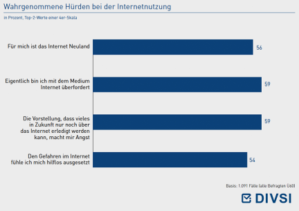 Wahrgenommene Hürden bei der Internetnutzung